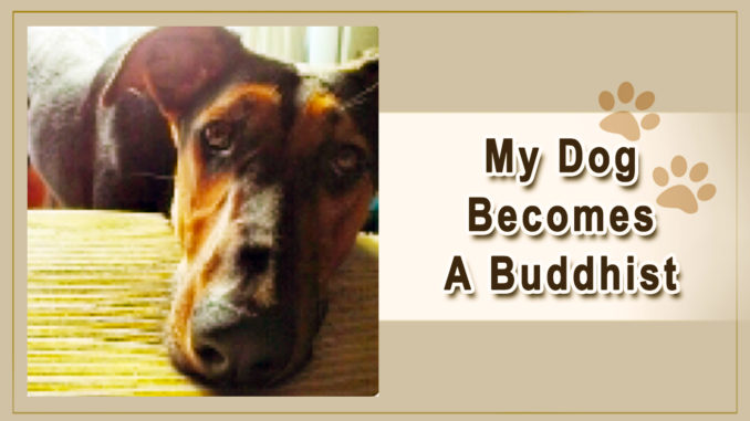My Dog Becomes a Buddhist-1